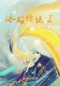 神羽之冰耀传说I