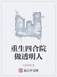 重生四合院做透明人