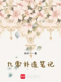 九零补遗笔记