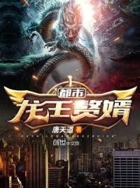 都市龙王赘婿